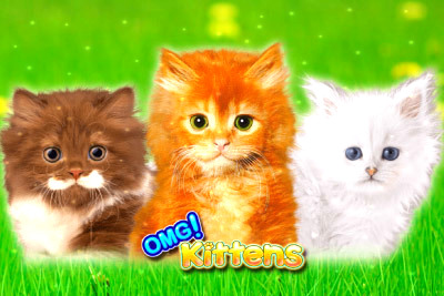 Top Slot Game of the Month: Omg Kittens Slot