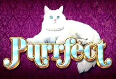 Top Slot Game of the Month: Purrfect Slot