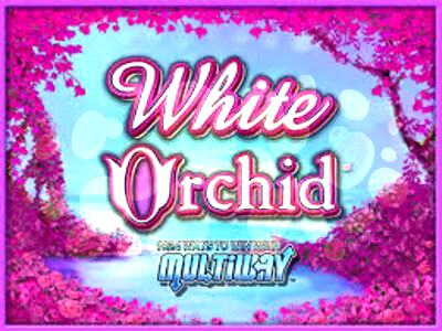 White Orchid Slot