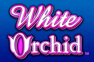 Top Slot Game of the Month: White Orchid Slots