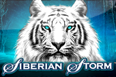 Siberian Storm Dual Play Slot