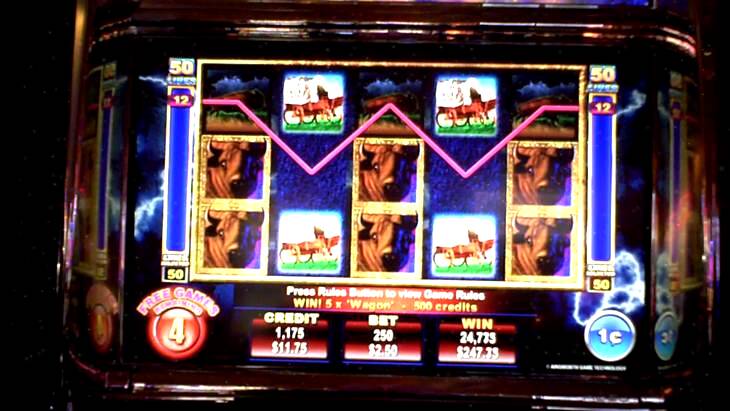 Buffalo Thunder Slot Machine